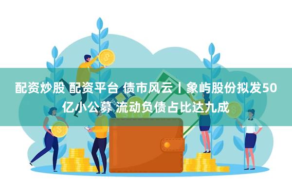 配资炒股 配资平台 债市风云丨象屿股份拟发50亿小公募 流动负债占比达九成