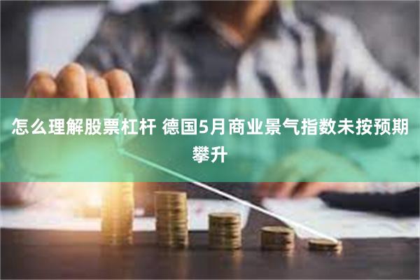 怎么理解股票杠杆 德国5月商业景气指数未按预期攀升