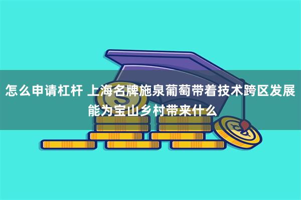 怎么申请杠杆 上海名牌施泉葡萄带着技术跨区发展 能为宝山乡村带来什么