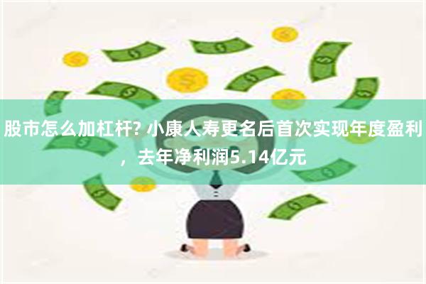 股市怎么加杠杆? 小康人寿更名后首次实现年度盈利，去年净利润5.14亿元