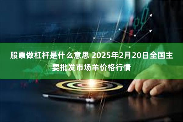 股票做杠杆是什么意思 2025年2月20日全国主要批发市场羊价格行情